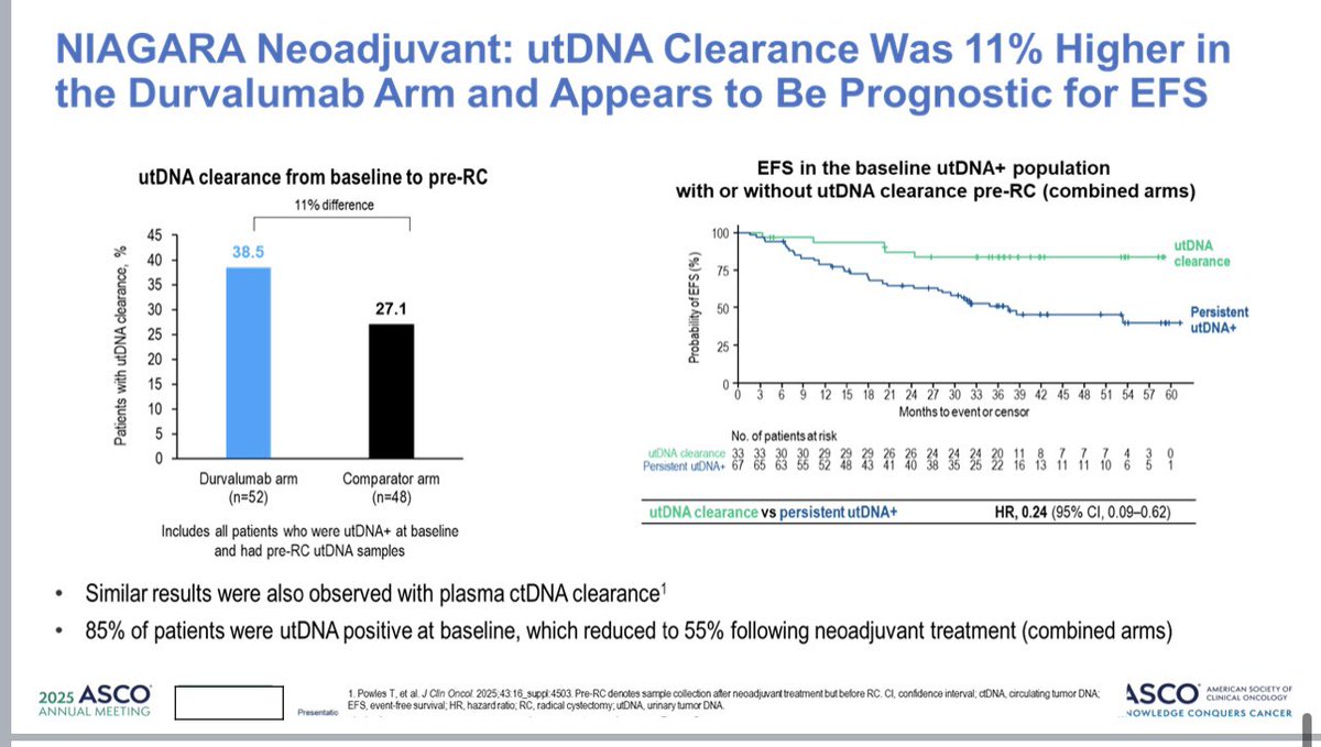 Tom Powles tweet media