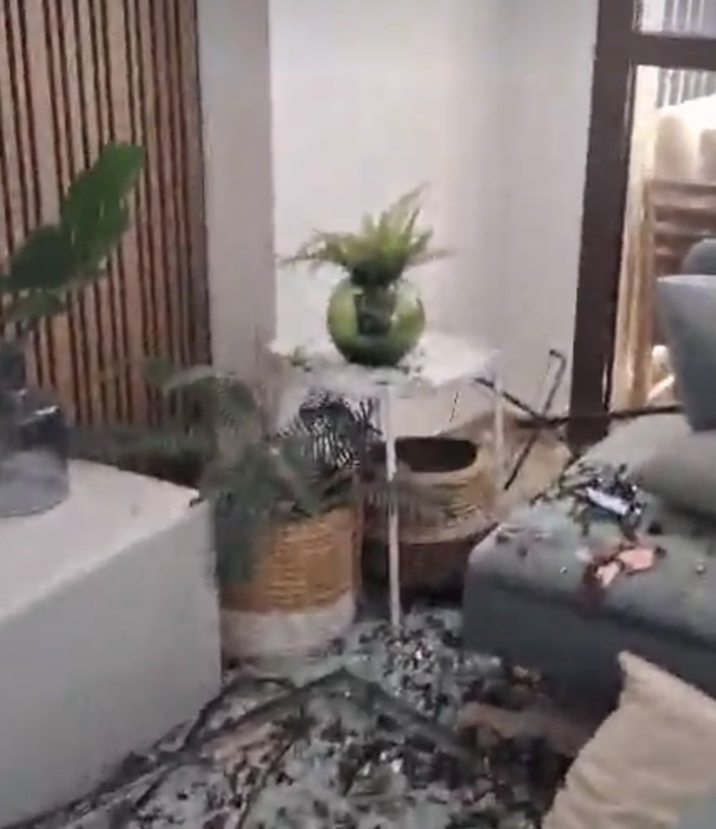Christmindset__'s tweet photo. @LayahHeilpern Lol it didn’t even knock the plant off the table! https://t.co/8NKyEhy5CA