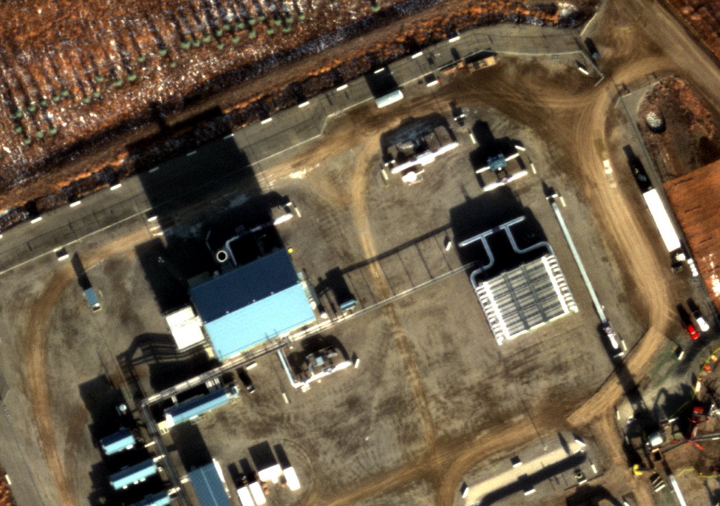 Charlie Runckle🔻🇪🇸 tweet media