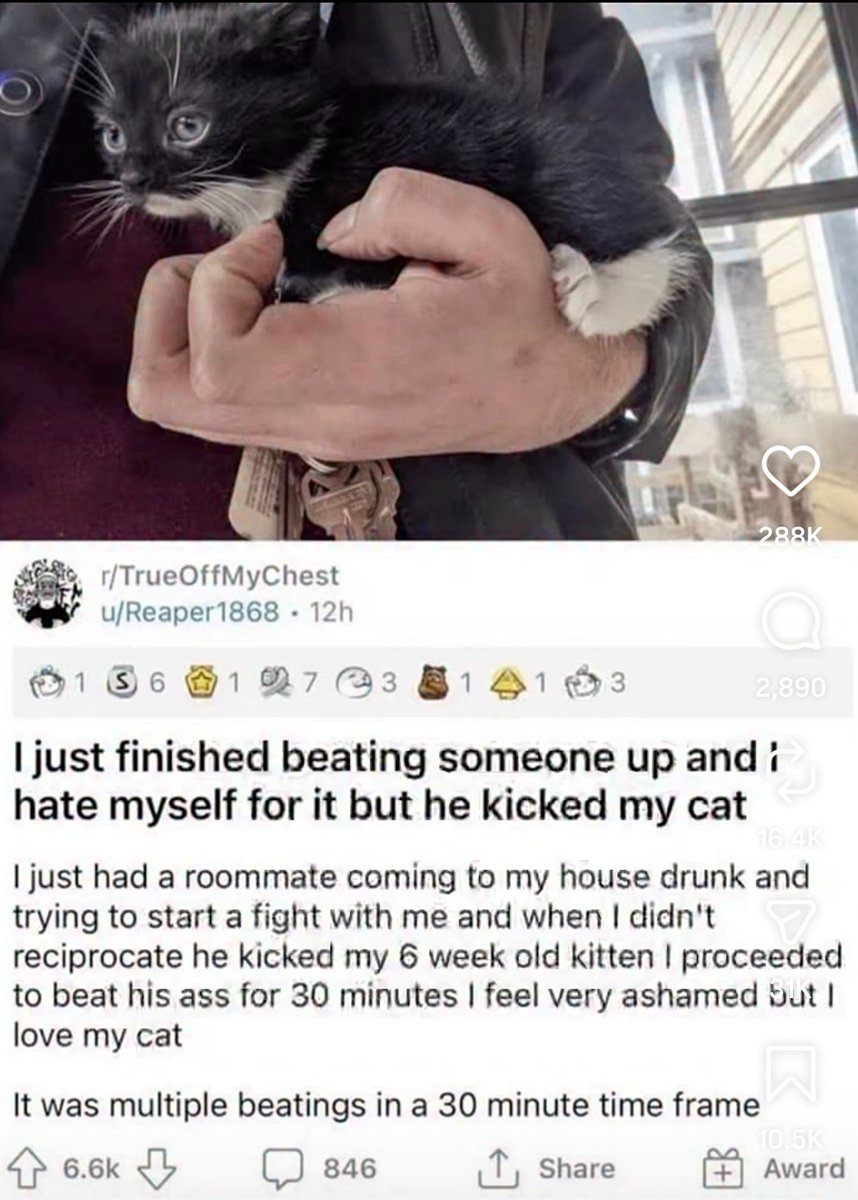 We don't deserve cats 😺 tweet media