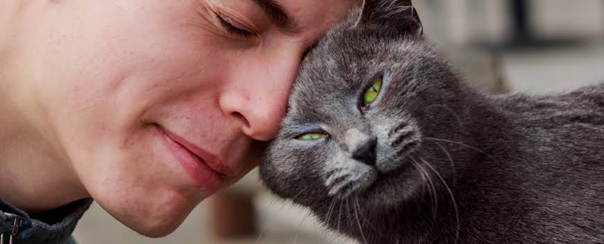 Tio Felino (Leo) tweet media
