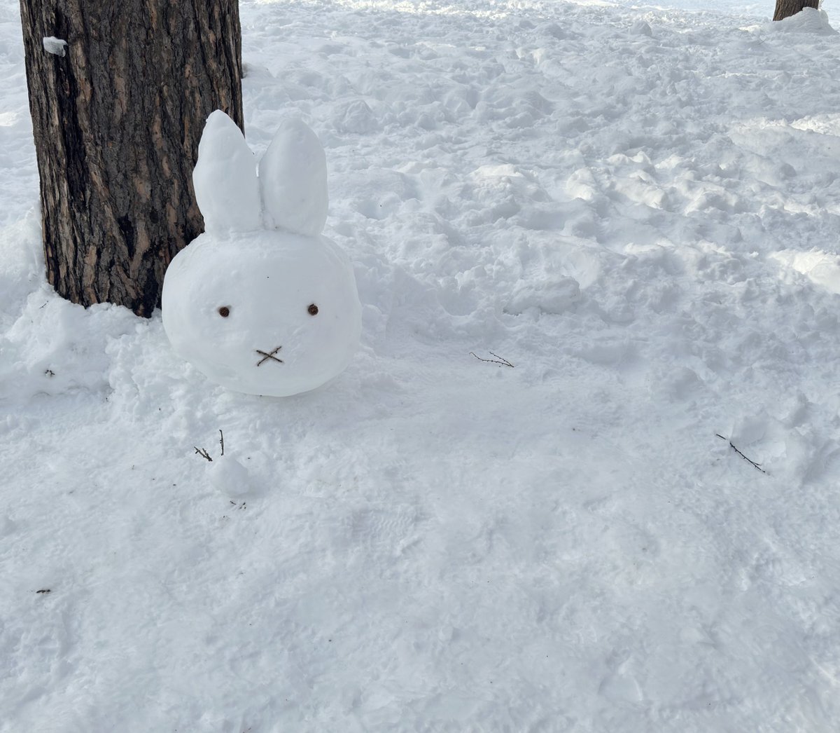 aurora_moon_sun's tweet photo. 世界はなんでこんなに混沌としているんだ

みんな仲良く幸せになれたらそれでいいじゃん

俺はそう思うとです https://t.co/MY9cV0d44j