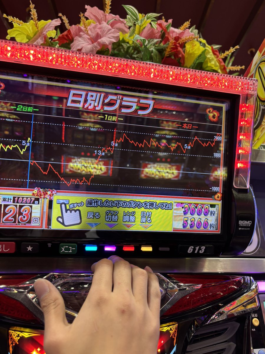 ハナLIFE (@DtlvjGc) / Posts / X