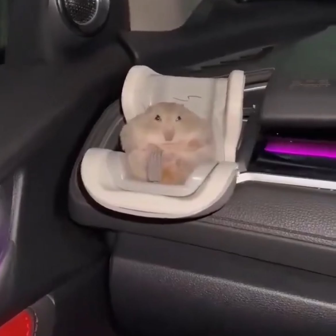 เด่กเร้กต้องนั่งบนคาร์ซีทเพื่อความปลอดภัยน้า