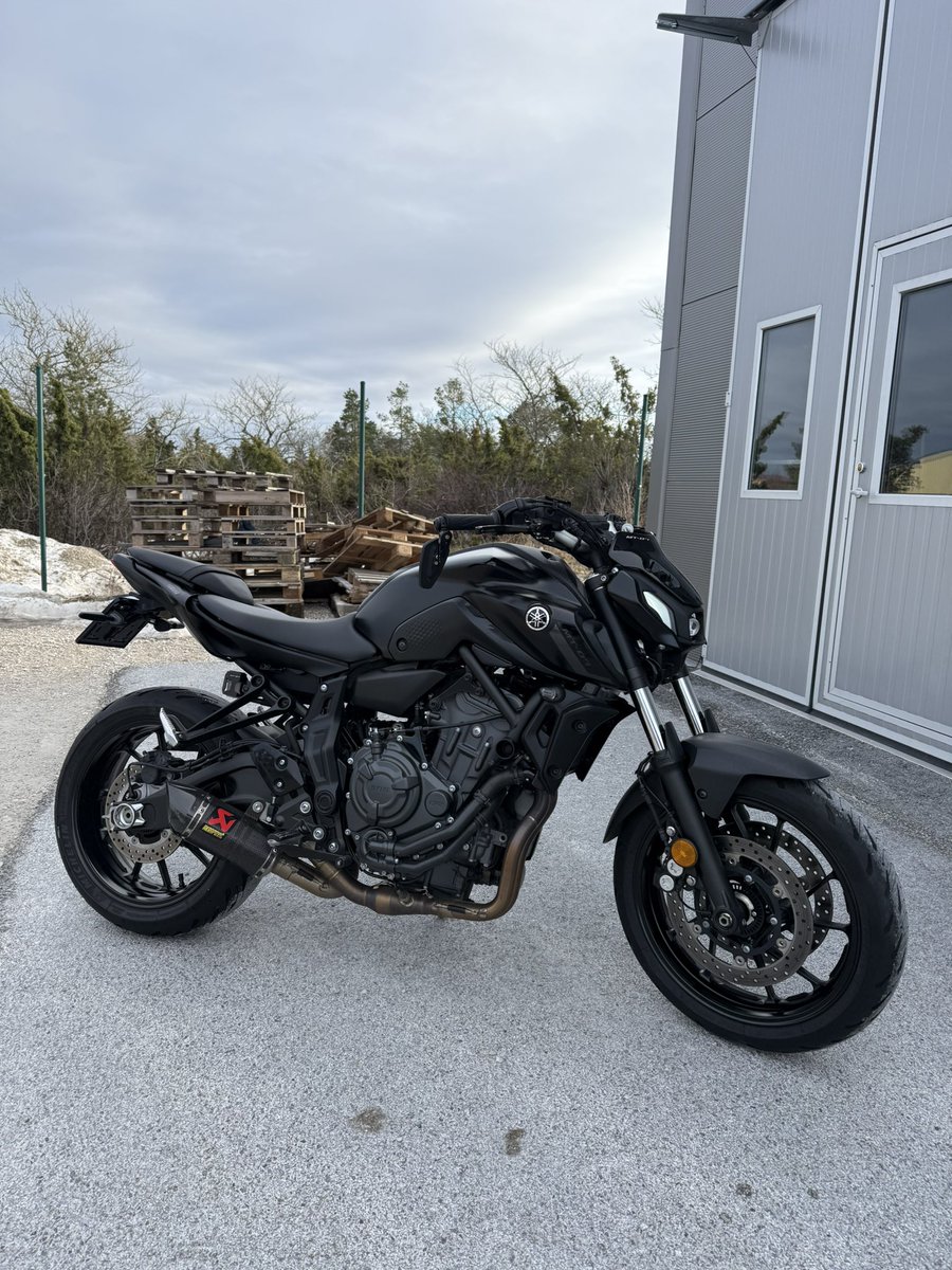 Maestro Invest tweet media