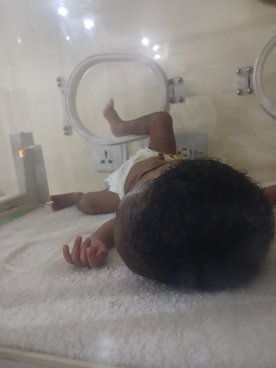 Dr. Yonni tweet media