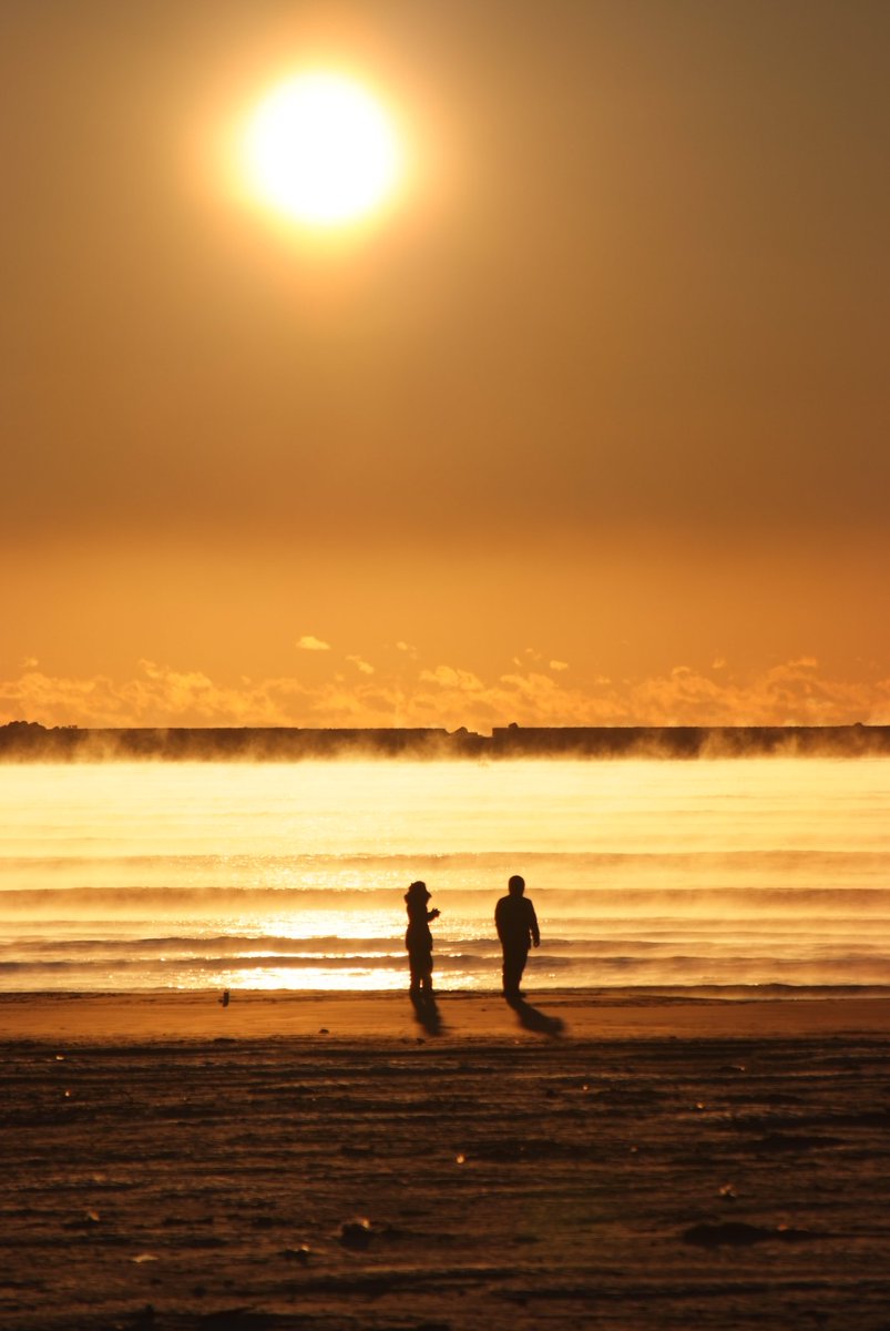 #これを見た人は背景が海の画像を貼れ