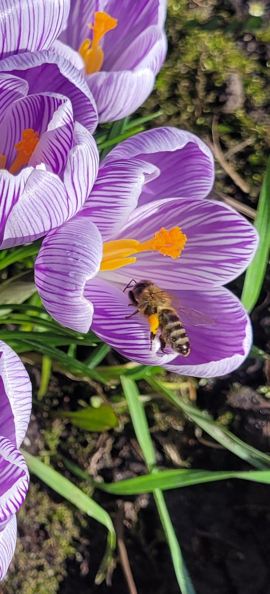 Das Wetter heute:

Heiter bis krokig 😊