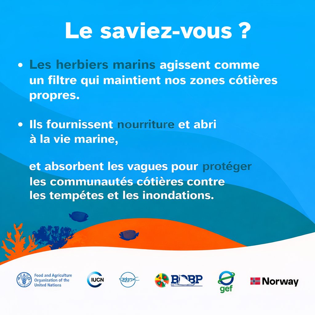 FAO en République du Congo tweet media