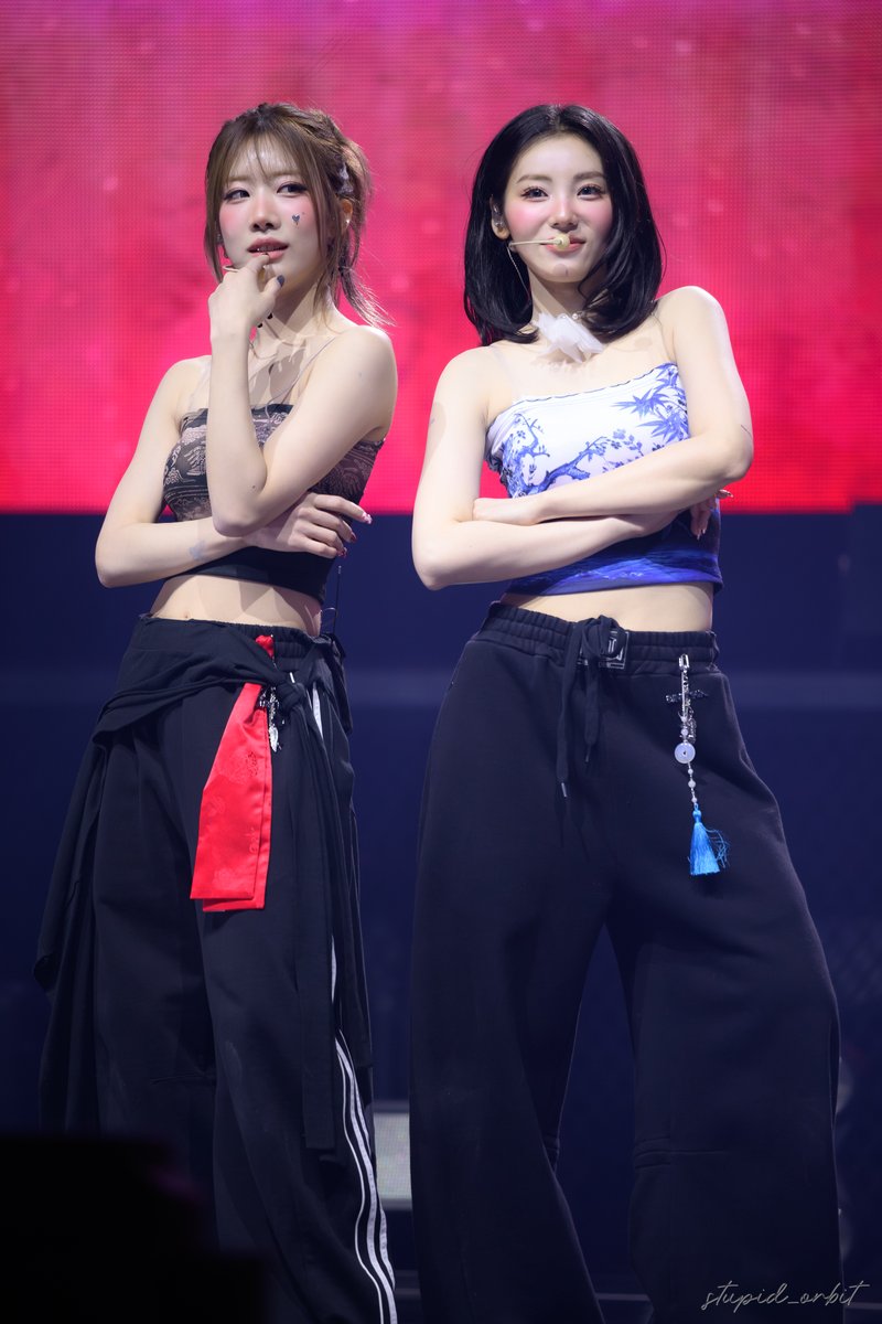 Stupid Orbit tweet media