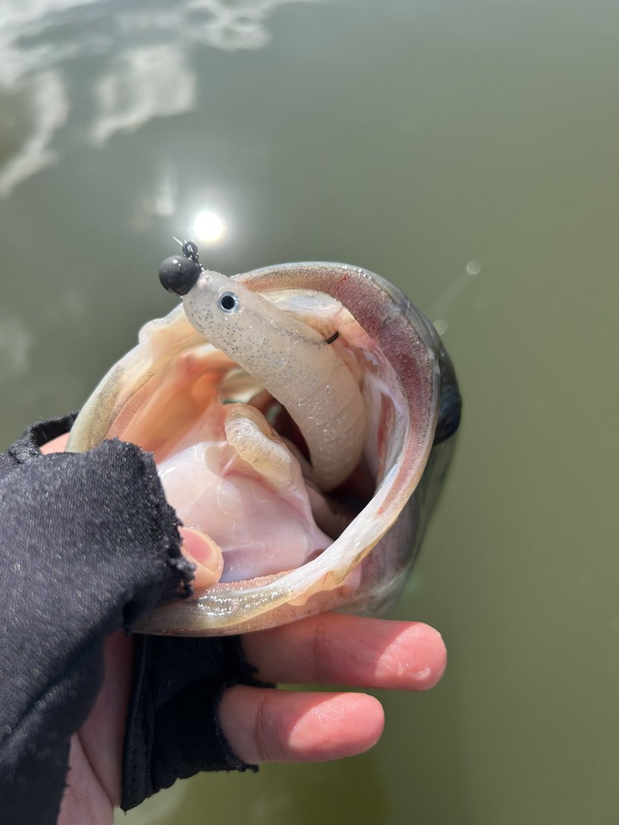 ナイスゥ〜🎣🎣