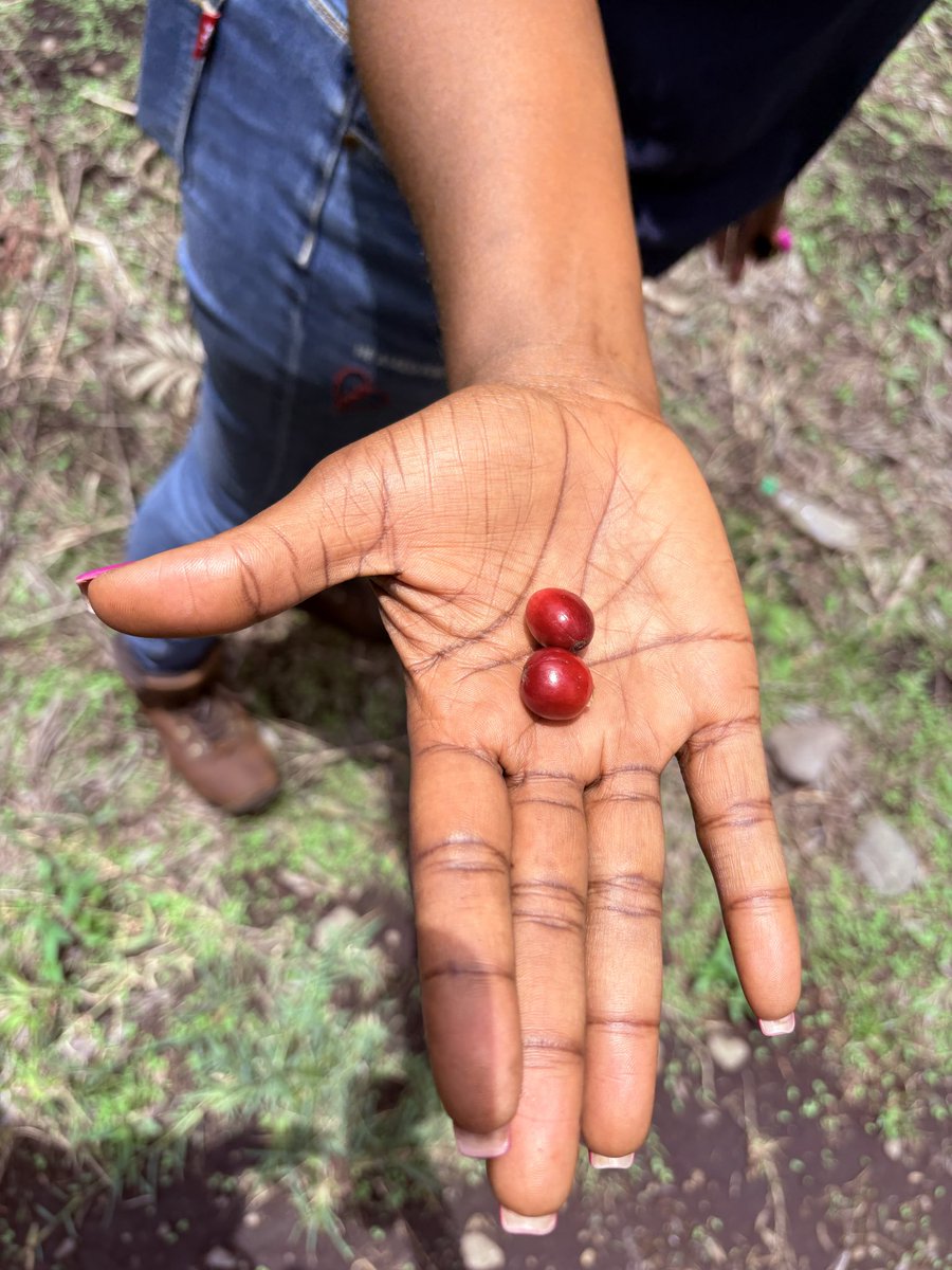 Slay Farmer😍 tweet media