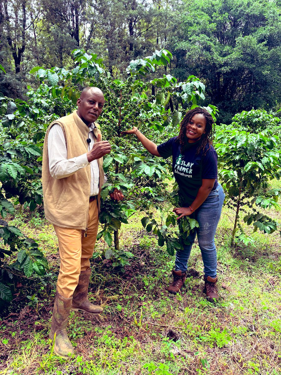 Slay Farmer😍 tweet media