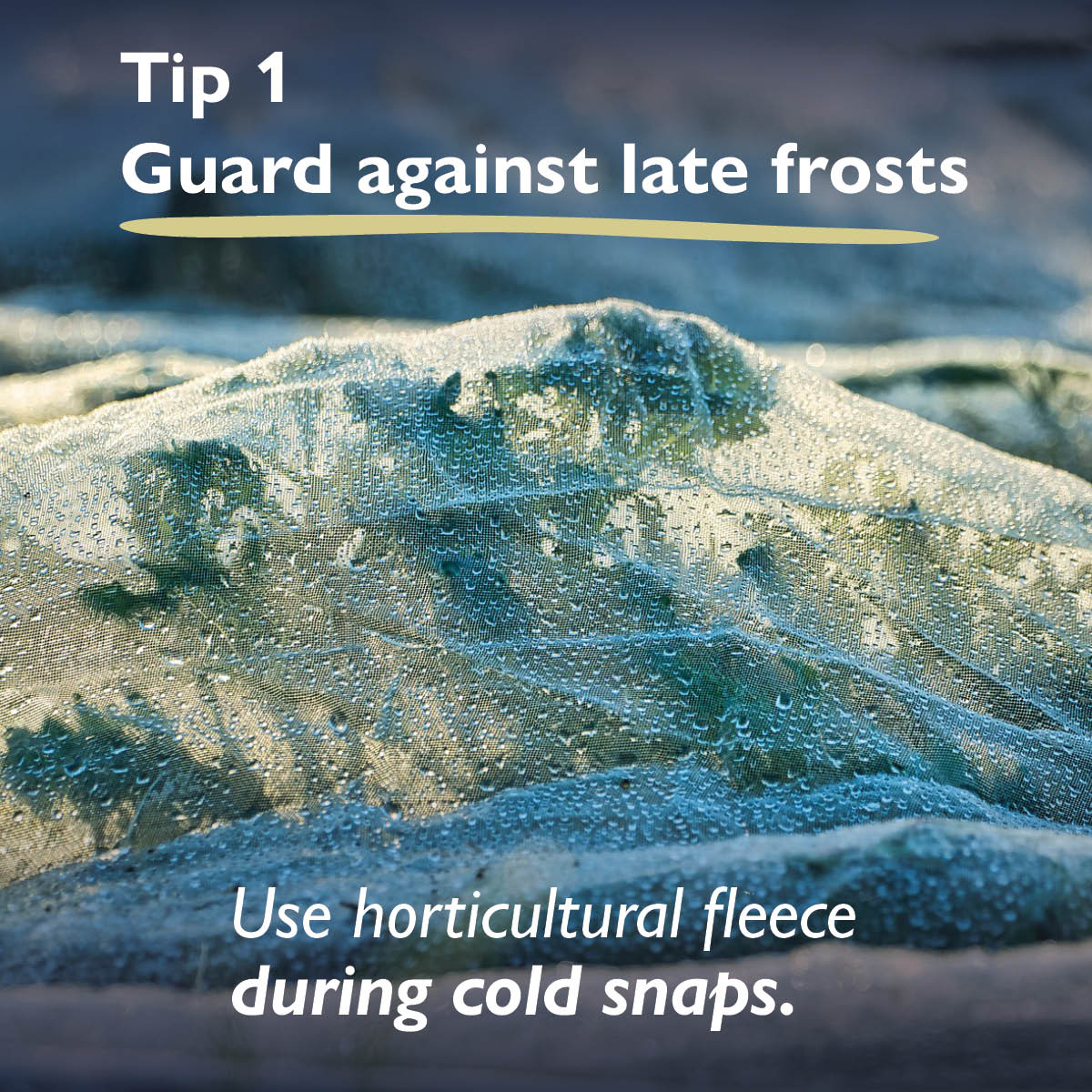 Hartley Botanic tweet media