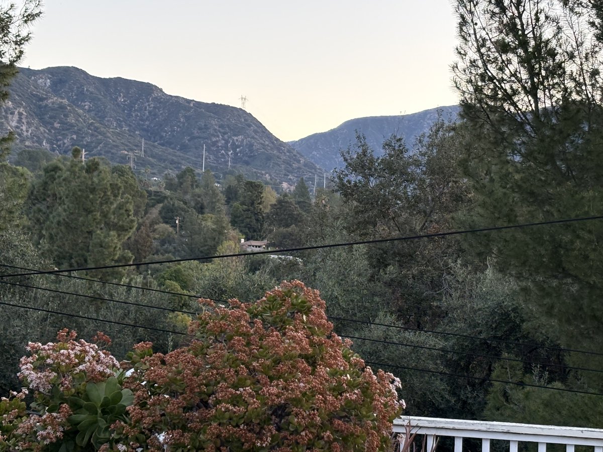 Beautiful morning in LA! I’m trying to wake the dogs for earlier walks before the time change.