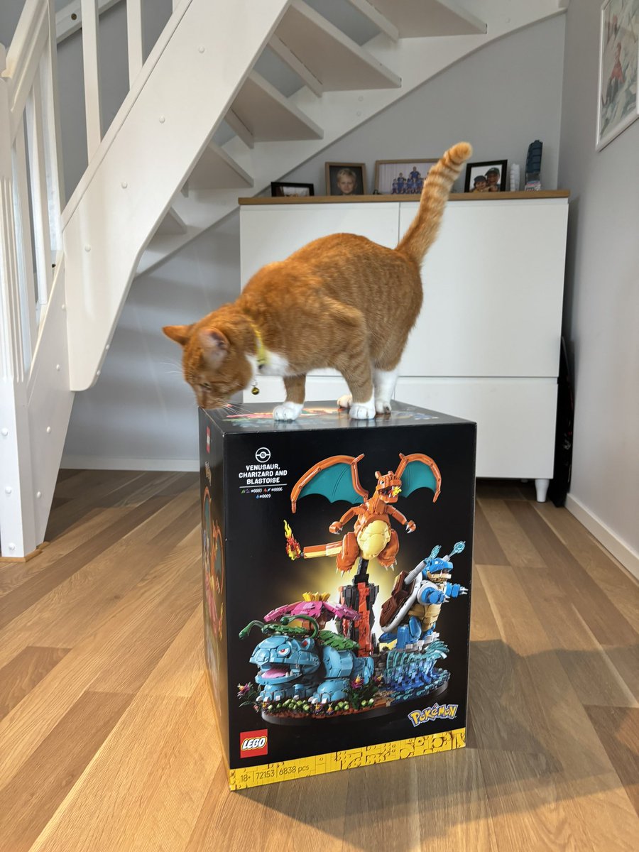 Fredrik Malmquist tweet media