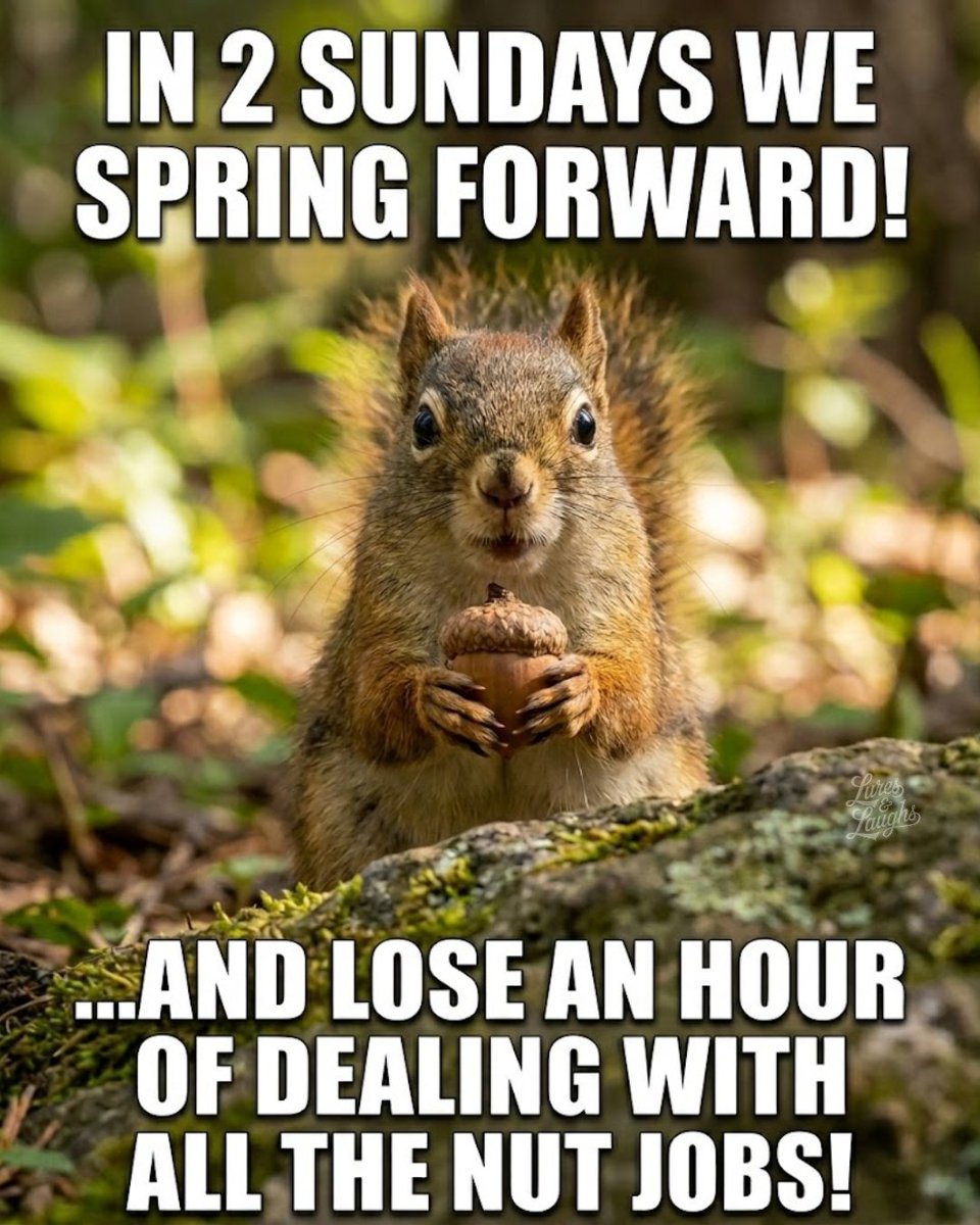 TweetyTea19's tweet image. #SpringForward is happening soon! #SpringVibes