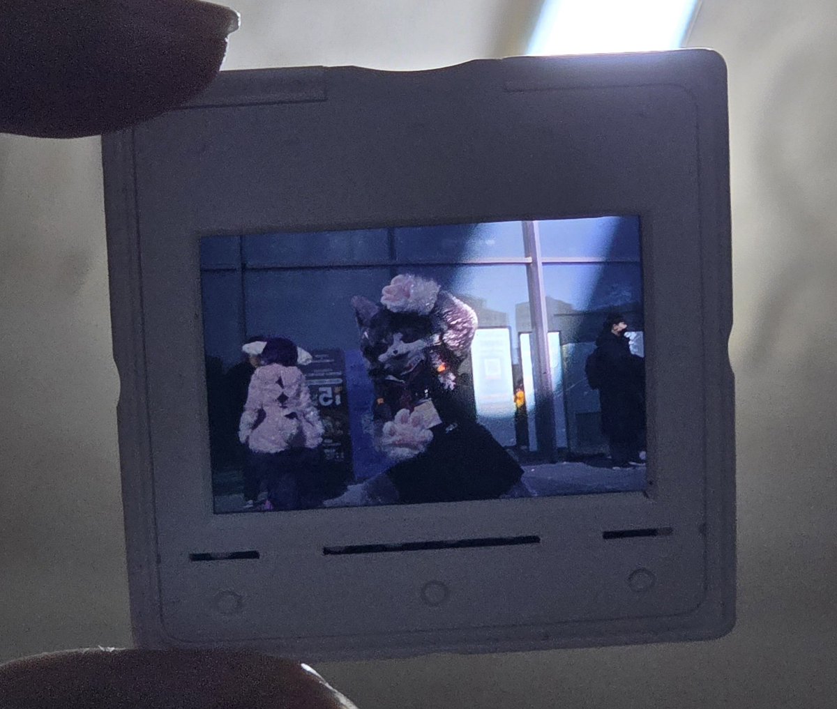 낫퍼리(하울수프26) tweet media