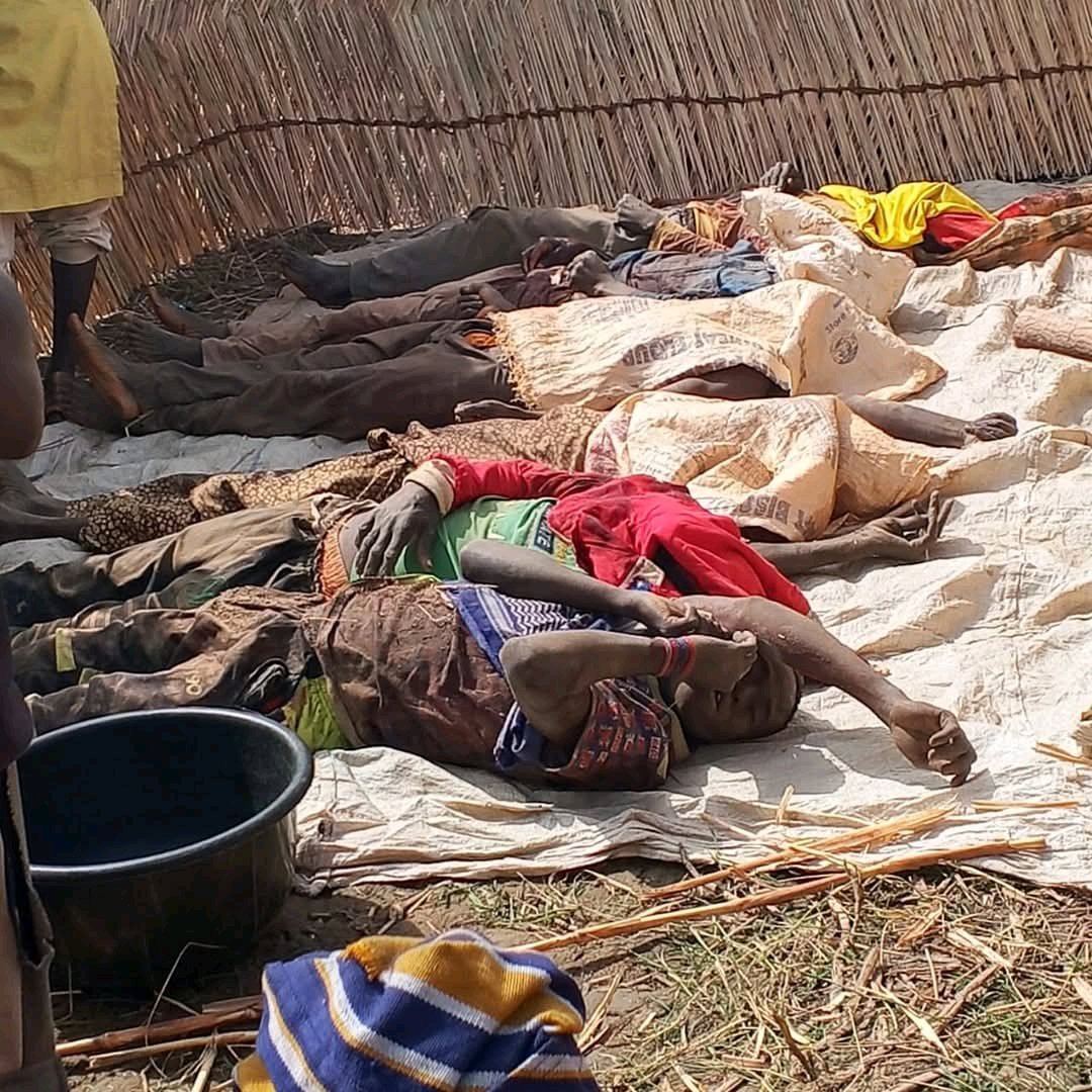 While y'all are busy with Iran and America or Israel, bandits laid mayhem in malale Village, Borgu Axis of Niger state, slaughtering innocent people. 💔