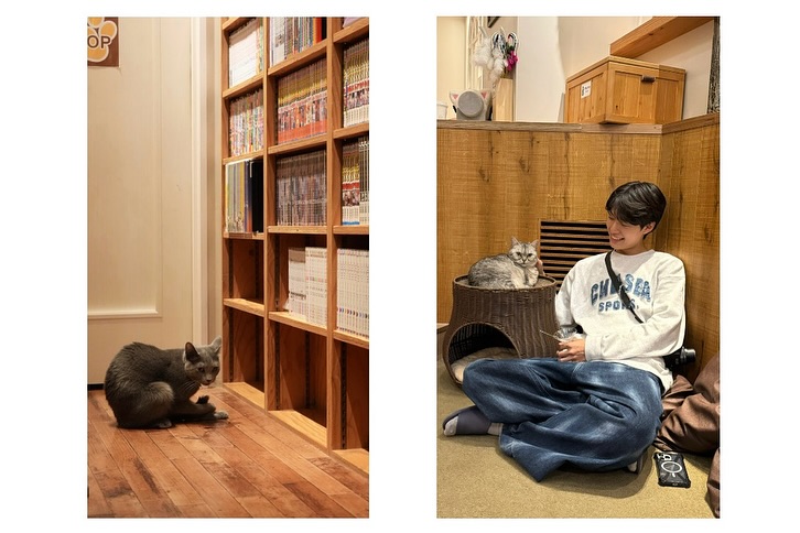 shionyx_'s tweet photo. 𝐅𝐢𝐧𝐚𝐥𝐥𝐲 𝐡𝐚𝐯𝐢𝐧𝐠 �� 𝐜𝐥𝐨𝐰𝐝𝐞𝐫 𝐨𝐟 𝐟𝐢𝐯𝐞 𝐢𝐧 𝐆𝐫𝐞𝐞𝐧𝐰𝐢𝐜𝐡 𝐦𝐞𝐚𝐧𝐬 𝐈 𝐧𝐨 𝐥𝐨𝐧𝐠𝐞𝐫 𝐡𝐚𝐯𝐞 𝐭𝐨 𝐥𝐞𝐚𝐝 𝐚 𝐬𝐨𝐥𝐢𝐭𝐚𝐫𝐲 𝐥𝐢𝐟𝐞. https://t.co/eWzFJ0TrnA