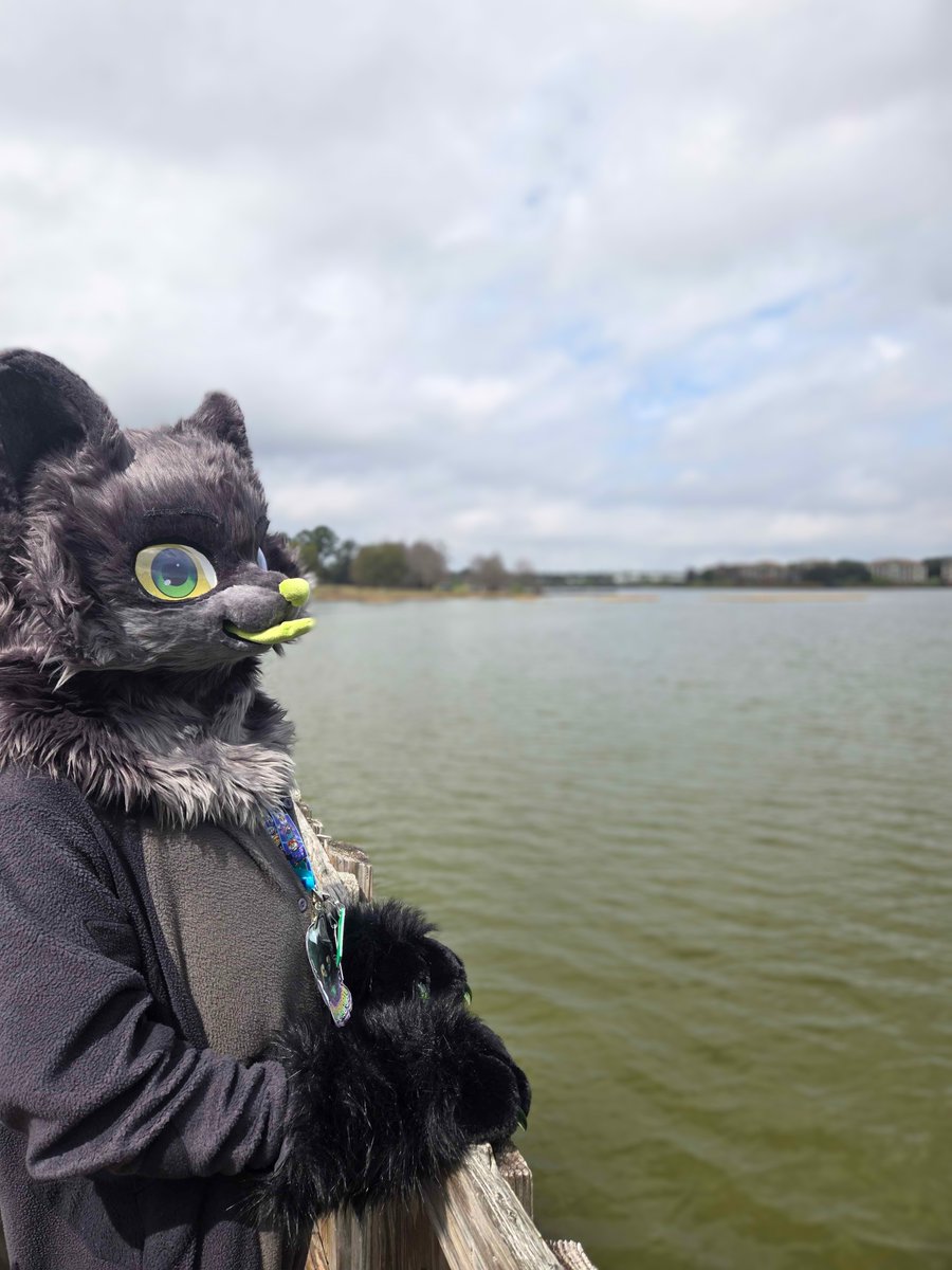 Mr_Chibi7's tweet photo. #megaplex #furry #events #funI
had amazing time at megaplex picnic 2026! My family also had amazing time, but didn't realize how quickly suiting makes you super tired, but thank you everyone that was there hoping too see you August during megaplex!! <3 https://t.co/b3UTSfU4BH