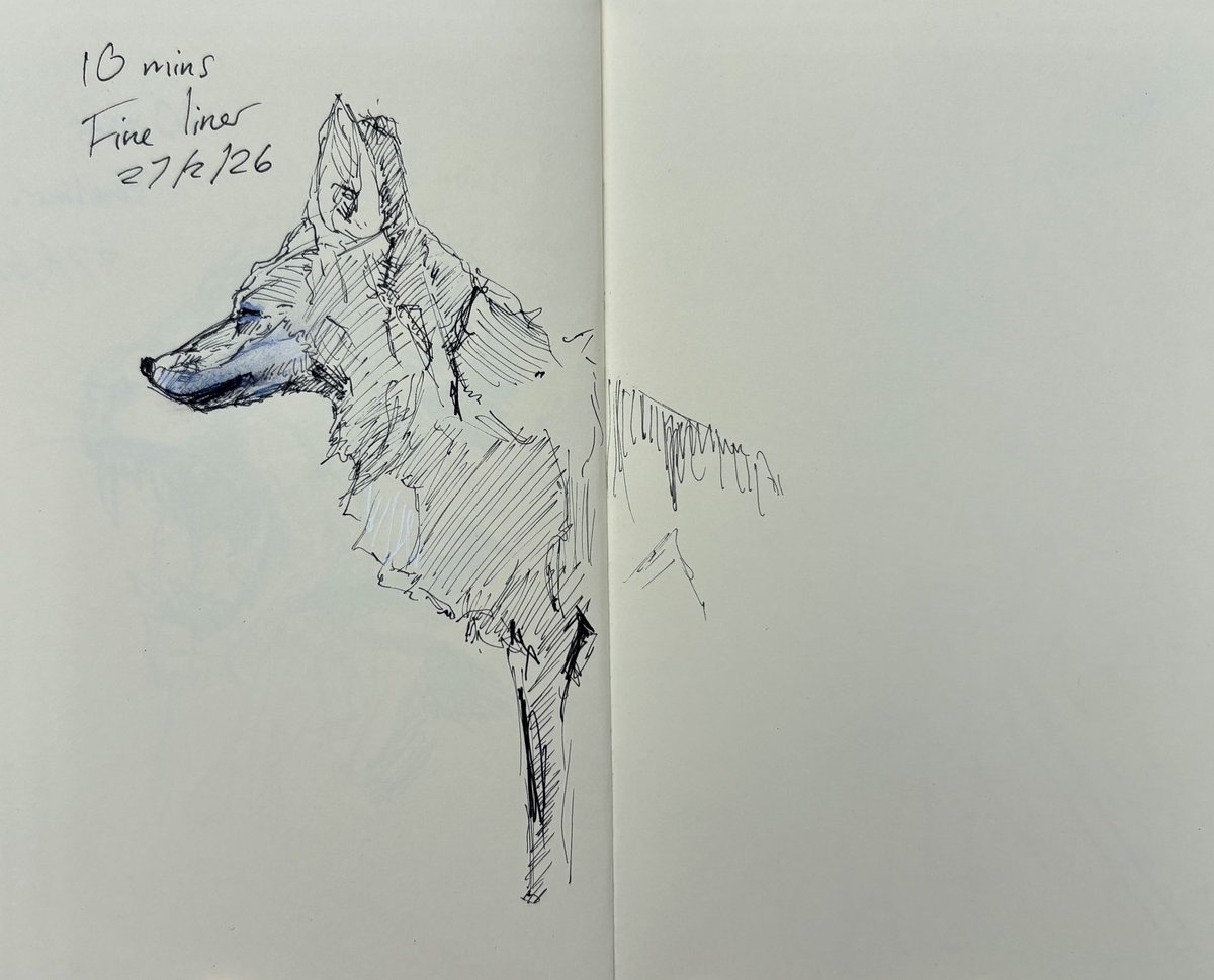 CarrionHouse's tweet image. One of my favourite double-page spreads in my sketchbook since starting my timed sketch practice almost a week ago. It’s very stark, very simple and very satisfying. 🖤

#animalsketch #sketchbook #practicemakesprogress #ink #foxsketch