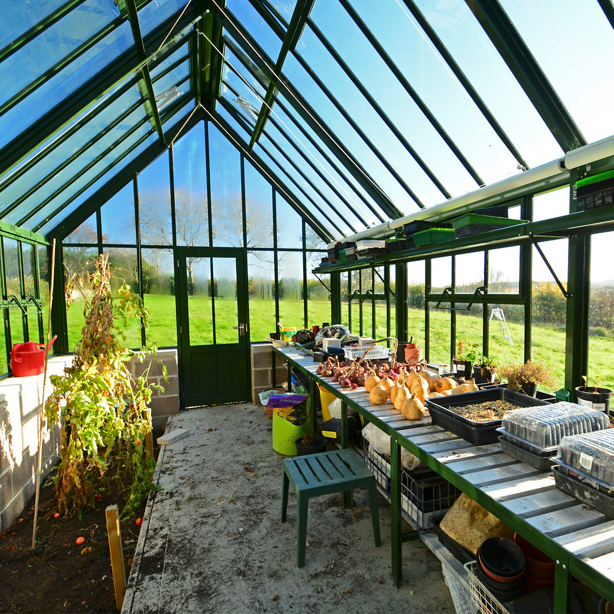 Hartley Botanic tweet media