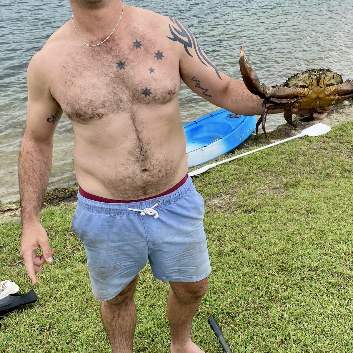 Aus_lad87 tweet media