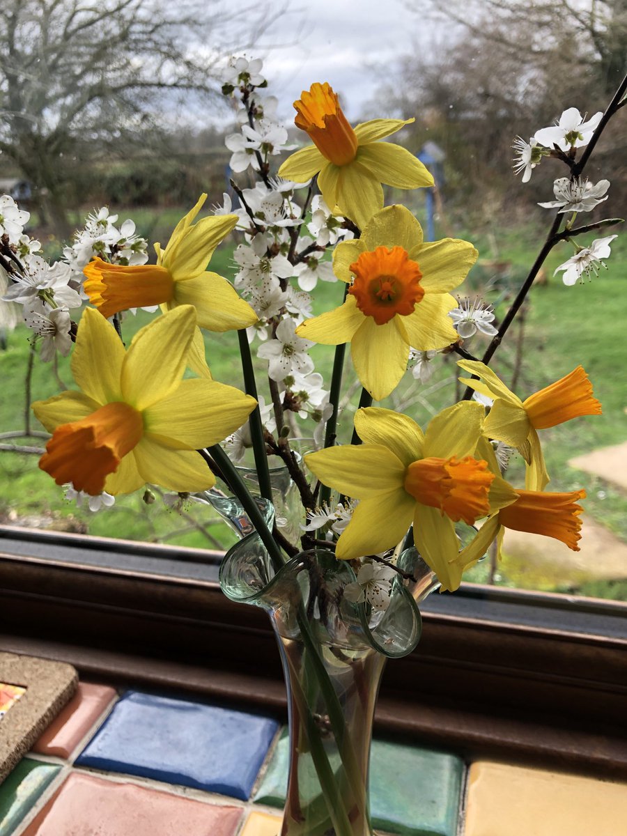 C and K Jones Roses aka JonesTheRose tweet media