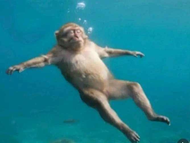 Me at the bottom of the pool because I'm too shy to ask for help 🥲