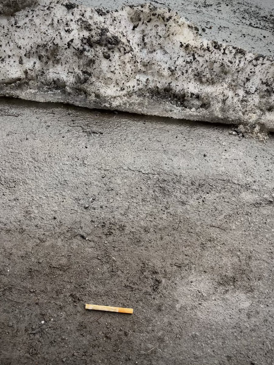 Nadia Detriment tweet media