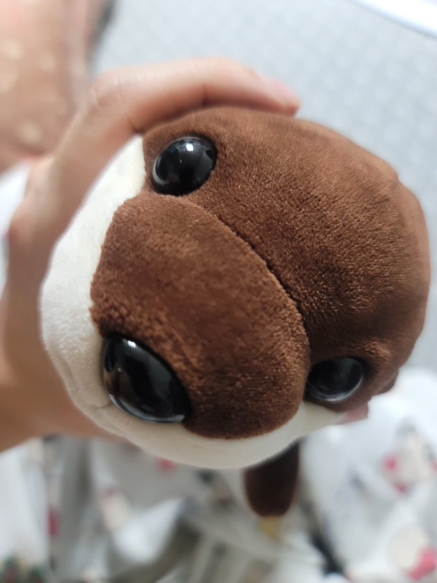 효르기 tweet media