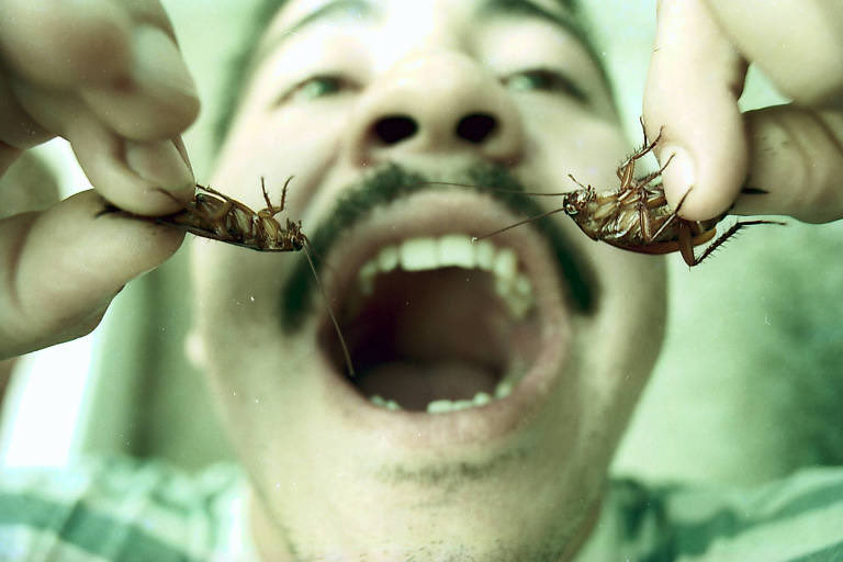 FLA DA NAÇÃO tweet media