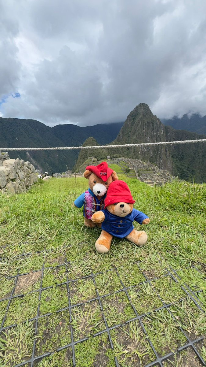 Man of Tomorrow tweet media