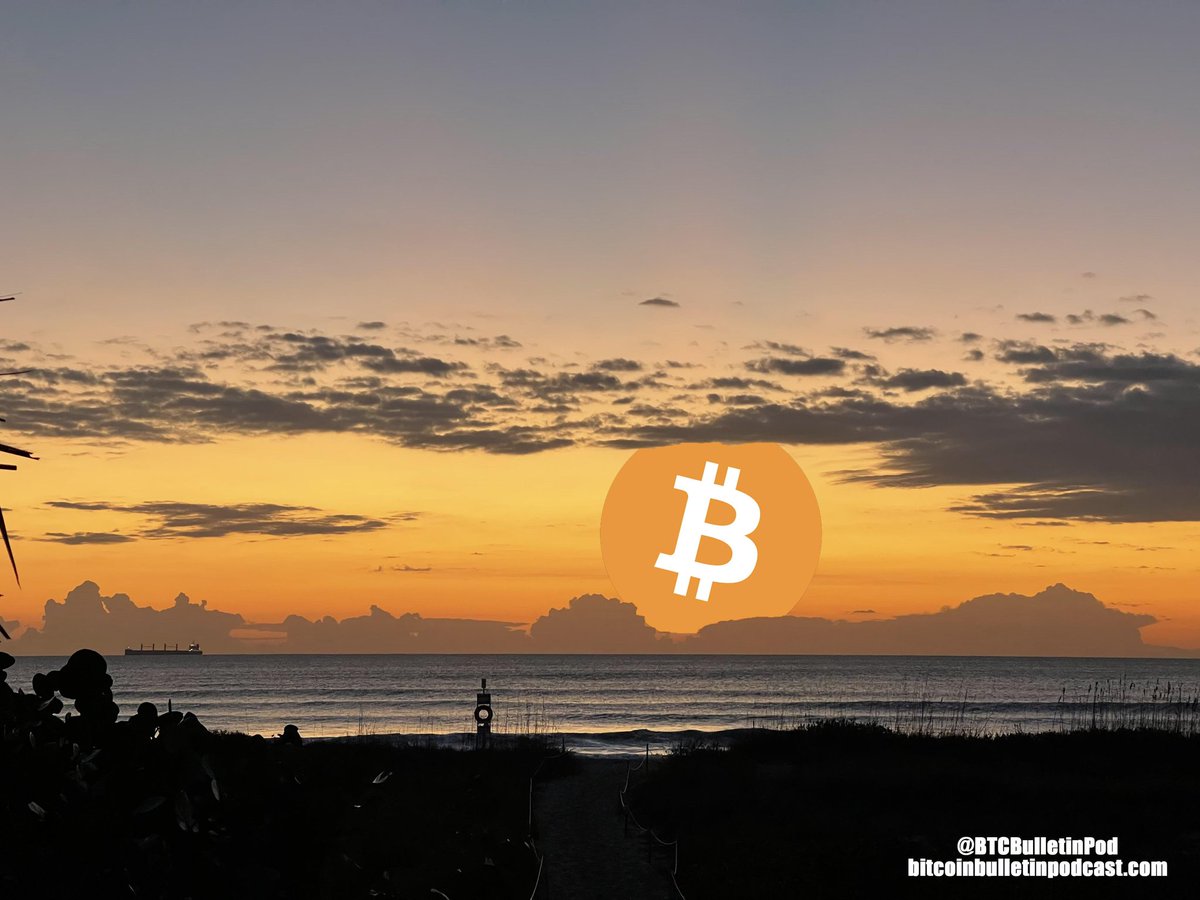 HODLTarantula(HT)🏴☠️Sovereign Maximalist tweet media