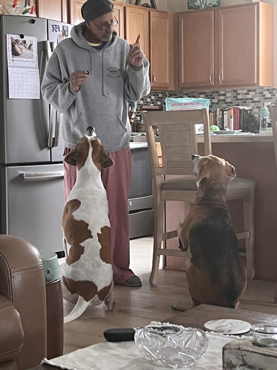 Alfie (Fatty) Polly (Pedrina) Pupturds tweet media