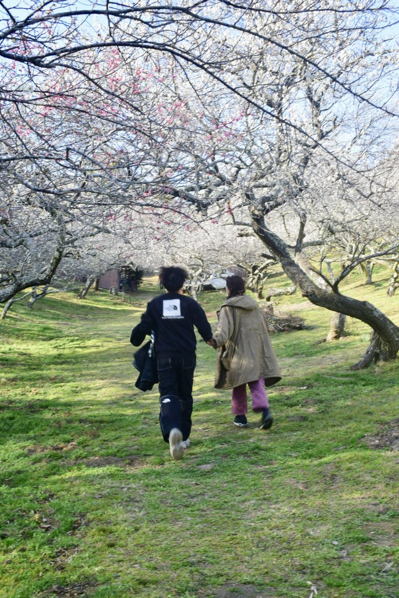 kurumi_sabi's tweet image. 奈良市月ヶ瀬村の梅まつりも行ってきた！！友達夫婦を愛カメラで撮りまくった。ひさしぶりの感覚！！！
本当に見頃って感じで素晴らしかった。駐車場はバカ混みだから、お早めの到着をお勧めします😌😌
焼きたけのこの屋台が売れ切れてて悶絶しました。行く方は是非、ご賞味を……(号泣)
#NikonD5300