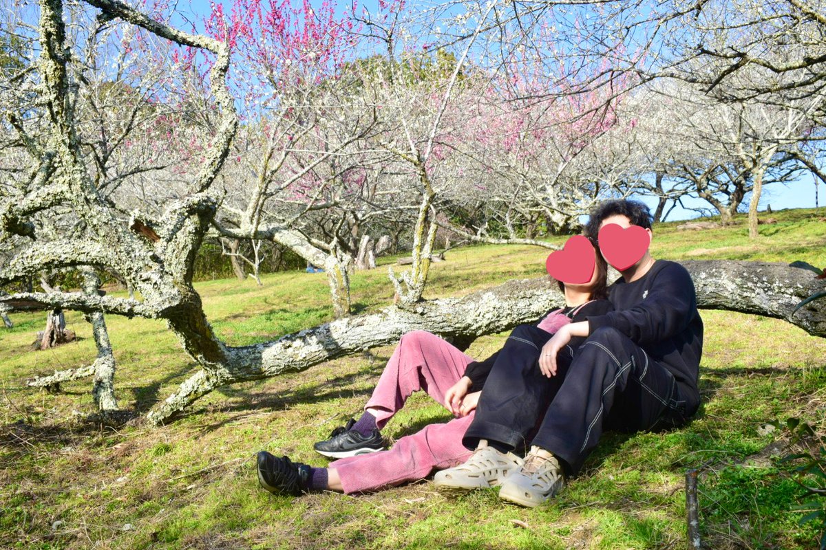 kurumi_sabi's tweet image. 奈良市月ヶ瀬村の梅まつりも行ってきた！！友達夫婦を愛カメラで撮りまくった。ひさしぶりの感覚！！！
本当に見頃って感じで素晴らしかった。駐車場はバカ混みだから、お早めの到着をお勧めします😌😌
焼きたけのこの屋台が売れ切れてて悶絶しました。行く方は是非、ご賞味を……(号泣)
#NikonD5300