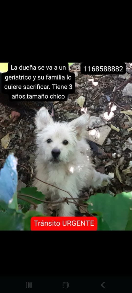 No tengo más data
Comunicarse con el contacto