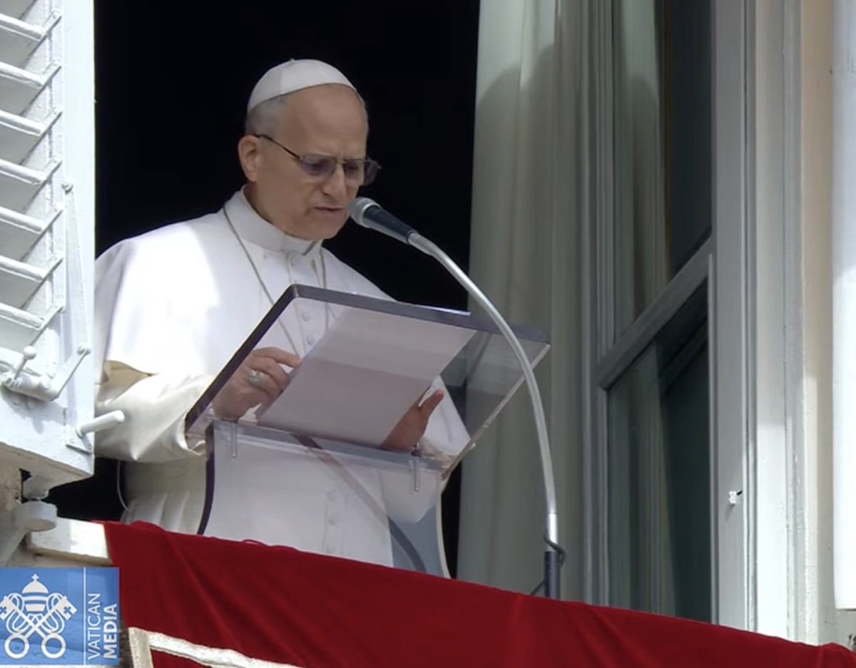 Austen Ivereigh tweet media