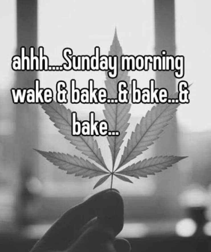 Clubjeffe tweet media