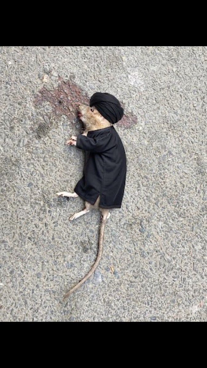 z_t5q's tweet photo. @zzhh_f يخسى ان يكون هذا الشرذمة حفيد للحسين
ال البيت بريئين من نجاستكم وشرككم يا عباد القبور والاوثان https://t.co/SC6SHyyiVz