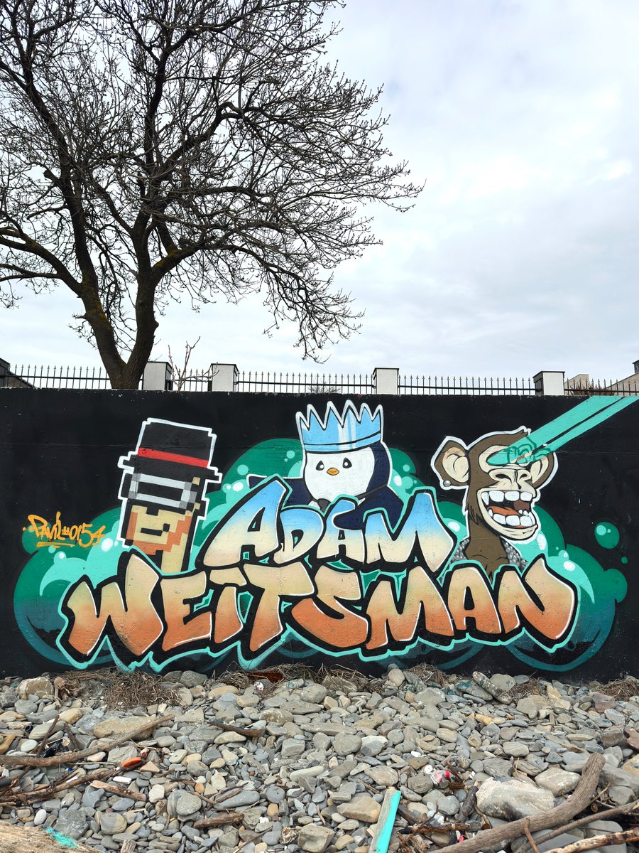 Pavil ⚡️💵 tweet media