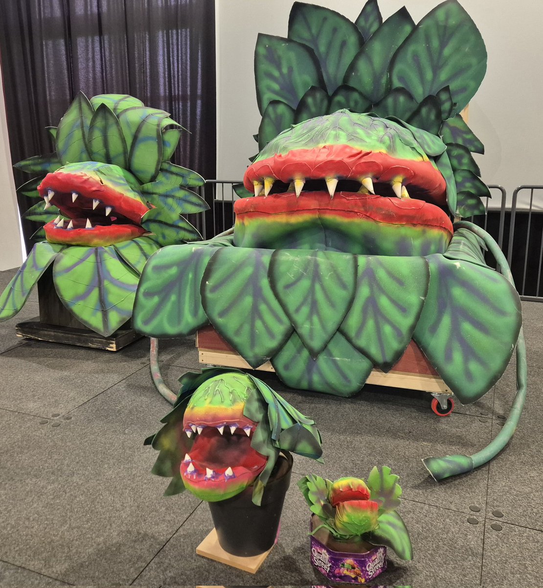 SetForTheShow tweet media