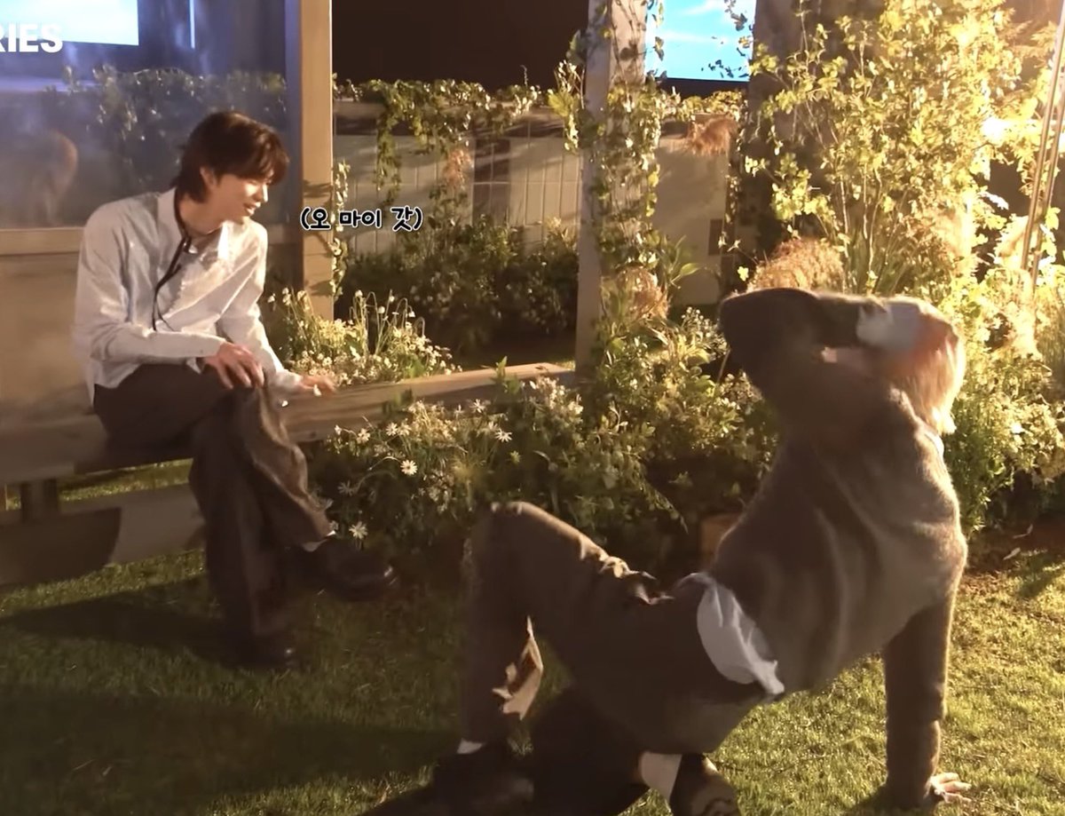 훈제란즈와 멍삐즈의 축복도 끝이 없네…