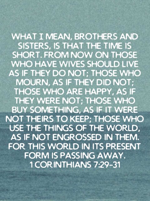 Ryan Rhoades tweet media