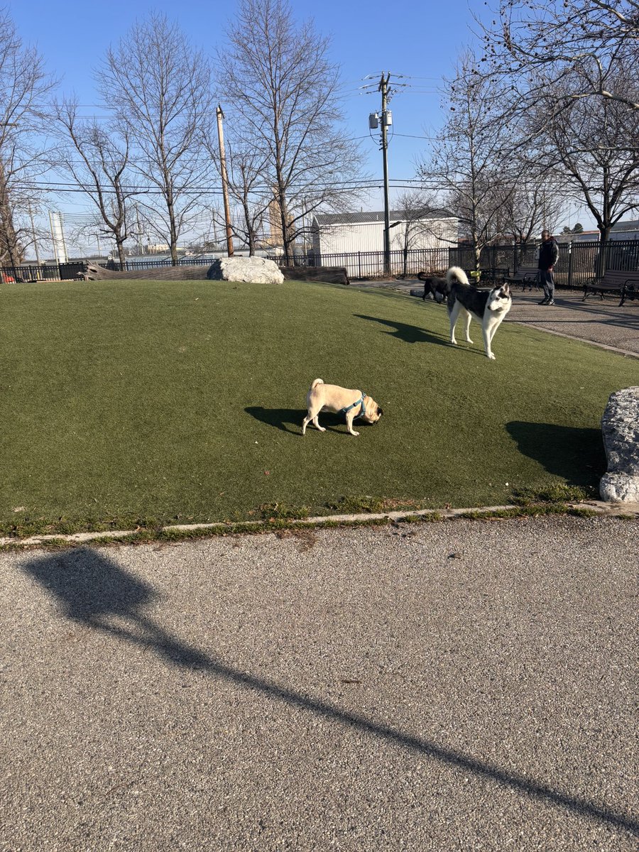 Lester Freamon tweet media