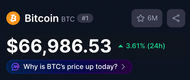 ᴛʀᴀᴄᴇʀ tweet media