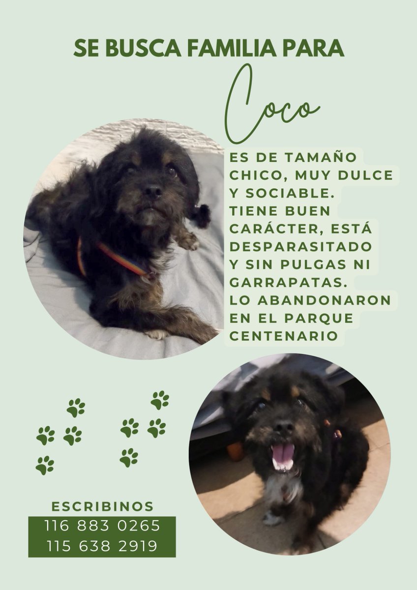 Acá está la data más relevante y contactos. Compartiendo me ayudan muchísimo! 🙏🏻