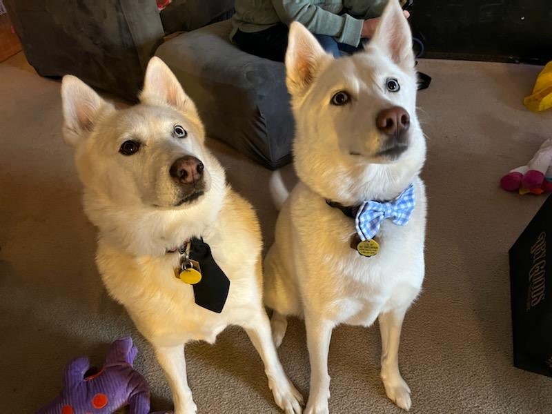 Jason Allen Lord tweet media